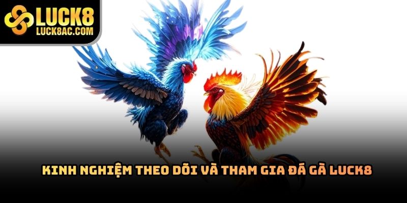 Đá gà Luck8